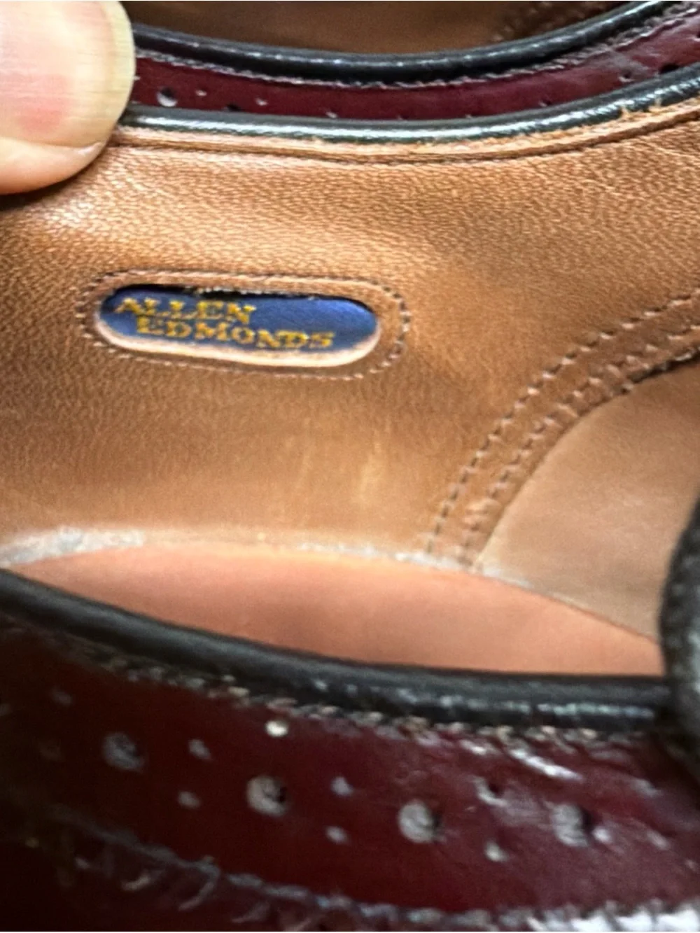 Allen Edmonds polished wingtip sleek